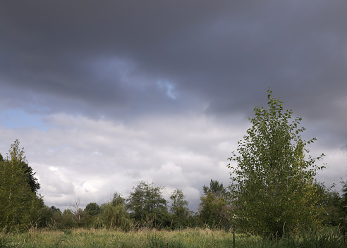 Moody sky with gray clouds drift above a flood plain in southwestern British Columbia in summer.