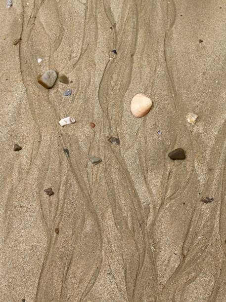 istock Patterns In The Sand On The Beach 1266341811