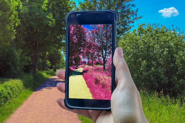 istock Female hand holding a smartphone 1266342446