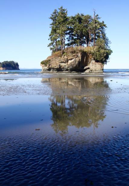 istock Seastack On The Washington Coast 1266343904