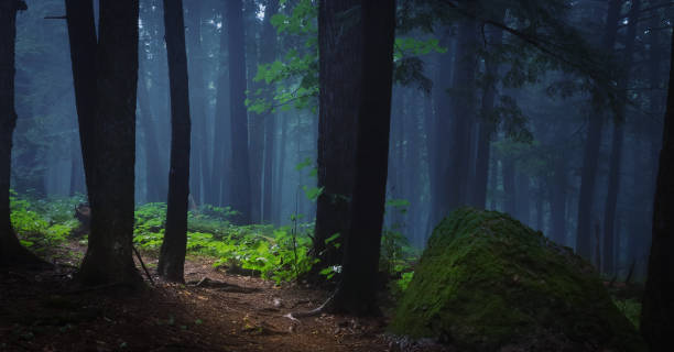 istock A Foggy Morning Hike Through The Mountains 1266346264