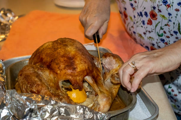 Close-up of mature Caucasian woman cutting into a roast turkey in the pan. stock photo