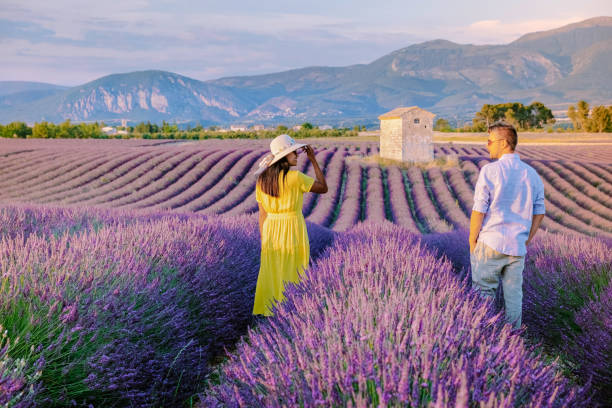 Couple men and woman on vacation at the provence lavender fields, Provence, Lavender field France, Valensole Plateau, colorful field of Lavender Valensole Plateau, Provence, Southern France. Lavender field Provence, Lavender field France, Valensole Plateau, colorful field of Lavender Valensole Plateau, Provence, Southern France. Lavender field. Europe. Couple men and woman on vacation at the provence lavender fields, plateau concept stock pictures, royalty-free photos & images