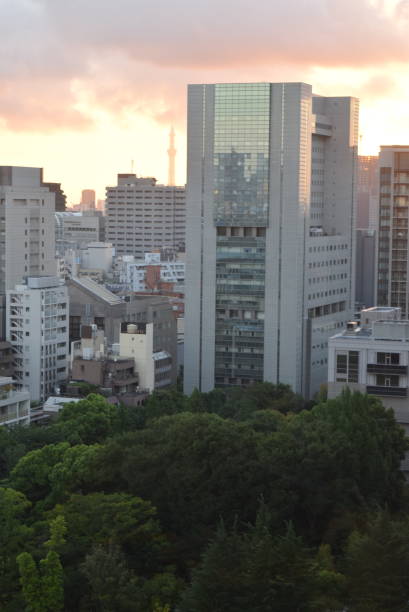 istock Akasaka Tokyo 1266347916