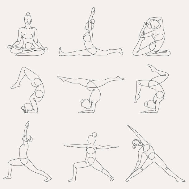 Different yoga poses continuous one line vector illustration. Different yoga poses continuous one line vector illustration. Flexibility, balance, training lineart, silhouette. Keeping healthy, fit lifestyle with yoga, gymnastics training. Working out at gym balance drawings stock illustrations