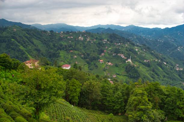 istock A village in Rize 1266348048