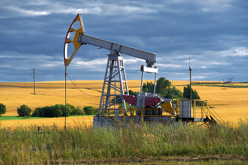 Rig on yellow field at evening sunlight
