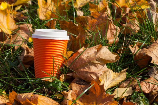 orange cups - abounding imagens e fotografias de stock