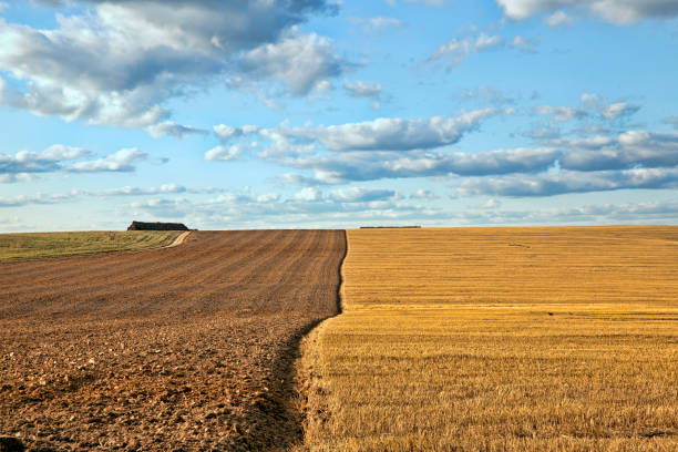 istock a half plowed agricultural field 1266352096