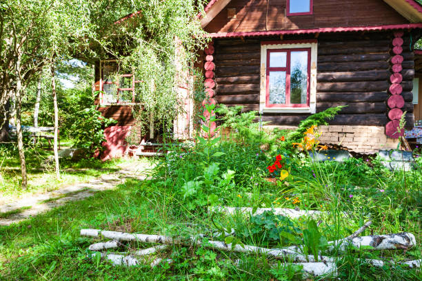 tronchi di betulla e letto di fiori nel cortile della casa rurale - izba foto e immagini stock