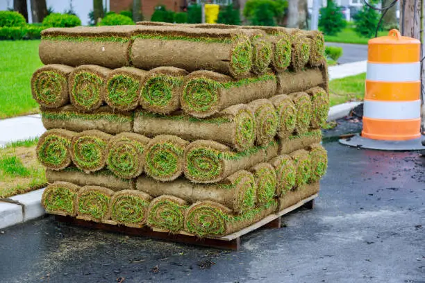 Stack of turf grass rolls a lawn fresh grass to decorate landscape design