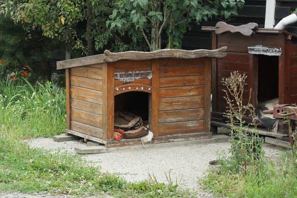 one large empty brown wooden doghouse stands outside in the green grass
