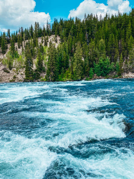 istock Rapids in Yellowstone National Park 1266358740
