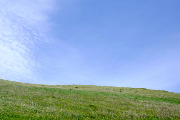 istock Jeju Island before the Storm 1266361764