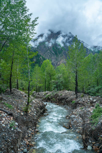 istock Mountain valley in Nyingchi 1266375177