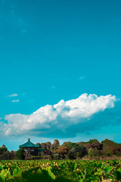 Sky#5 The sky seen from Shinobazu Pond shinobazu pond stock pictures, royalty-free photos & images