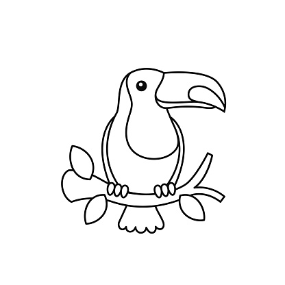 Ilustración de Pájaro Del Bosque Tropical Del Tucán Encaramado En Una Rama  De Árbol Esquema De La Ilustración Del Dibujo Para Los Niños De Preescolar Para  Colorear Libro Gráfico y más Vectores