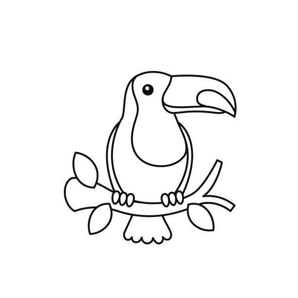 Ilustración de Pájaro Del Bosque Tropical Del Tucán Encaramado En Una Rama De Árbol Esquema De La Ilustración Del Dibujo Para Los Niños De Preescolar Para Colorear Libro Gráfico y más Vectores Ilustración de Pájaro Del Bosque Tropical Del Tucán Encaramado En Una Rama De Árbol Esquema De La Ilustración Del Dibujo Para Los Niños De Preescolar Para Colorear Libro Gráfico y más Vectores