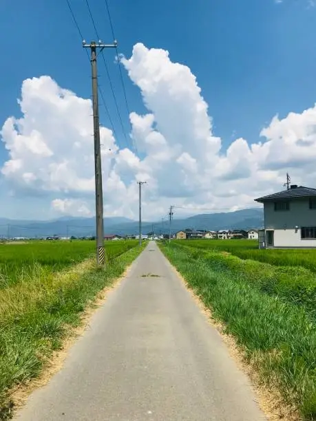 Japanese countryside summer . This is Nostalgic
