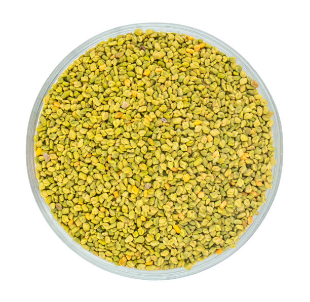 istock Green Fenugreek Seeds on White Background 1266379629