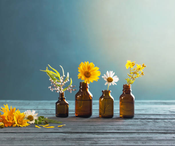istock medicinal plants and brown bottles on  blue background 1266383838