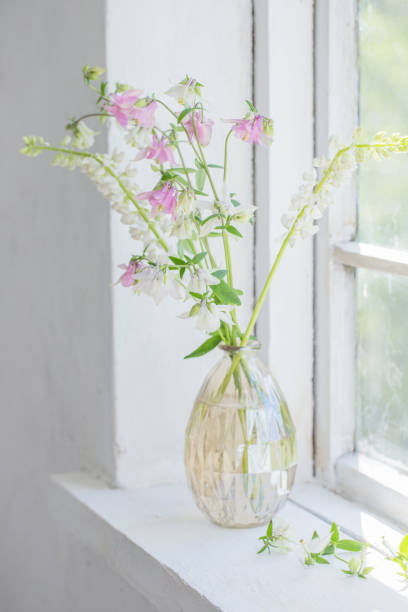istock summer flowers in vase on windowsill in sunlight 1266383848