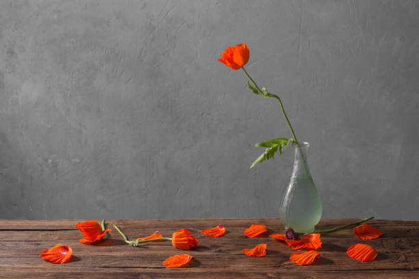 istock red poppies in vase on wooden table 1266383868