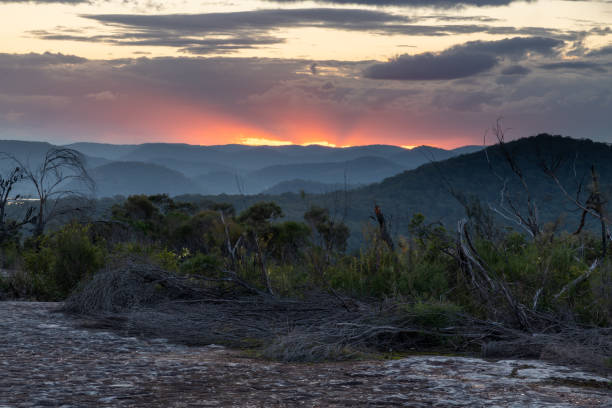 istock Australian Bush Sunset with Tessellated Rock 1266384643