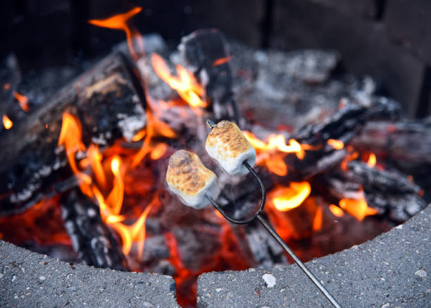 marshmallow arrostire sul fuoco caldo - browned foto e immagini stock