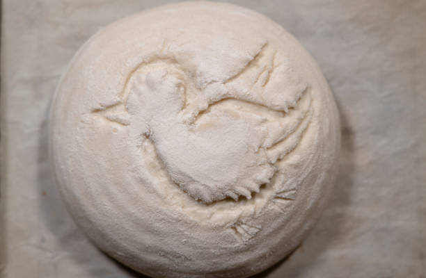homemade artisan boule dough, with a bird pattern slashing