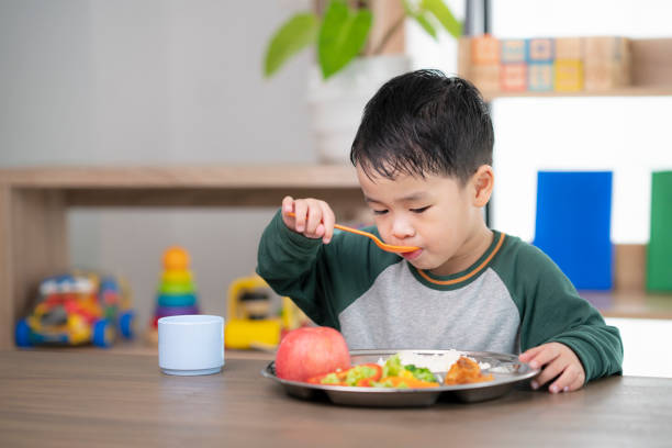 estudiante asiático tomar un almuerzo en la sala de clases por bandeja de comida preparada por su preescolar - tray lunch education food fotografías e imágenes de stock