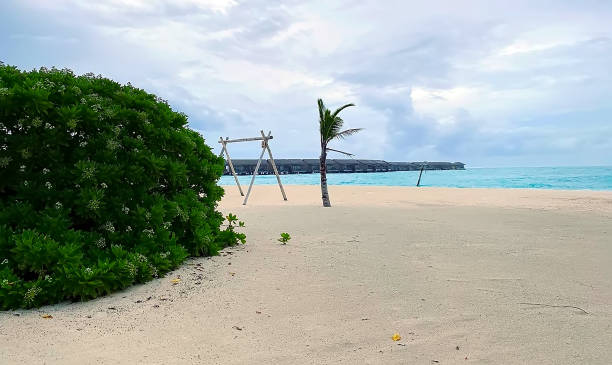 istock Maldives island Water bungalows view. 1266392487