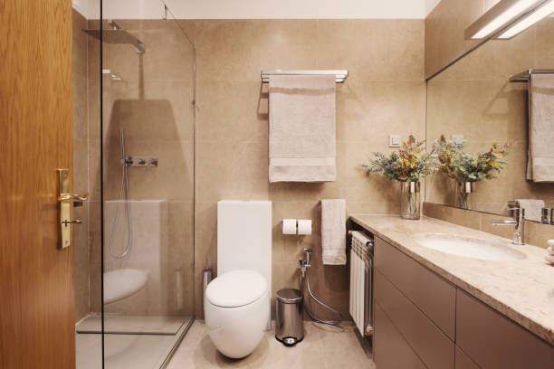 Bathroom and toilet simple interior design, brown colours