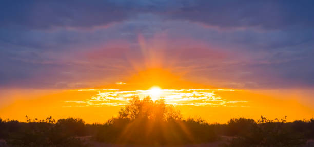 istock dramatic red sunset over a forest silhouette, evening sky background 1266399592