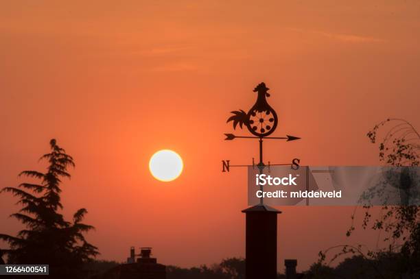 Direction Vane At Sunrise Stock Photo - Download Image Now - Rooster, Wind, Direction