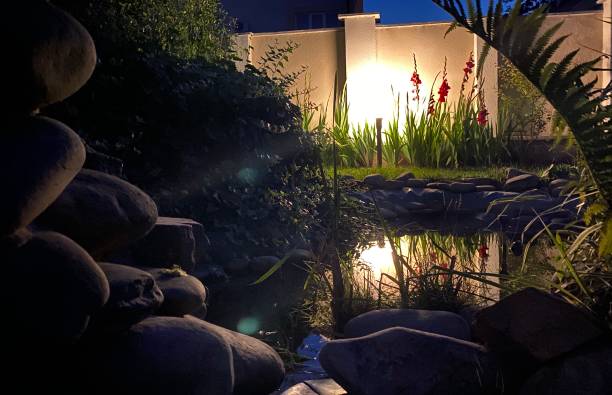 istock small pond in the garden in the evening 1266404705