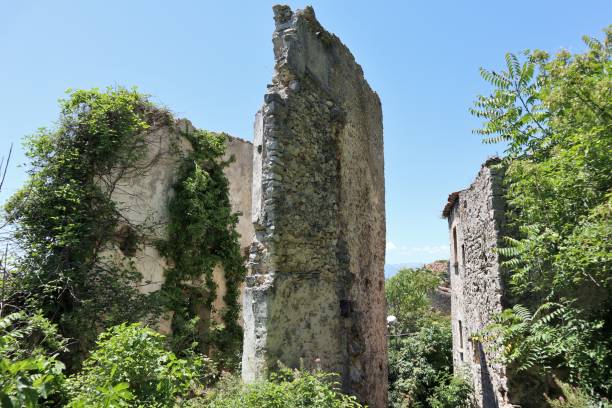 istock Peaches - Ruins of the castle 1266404816