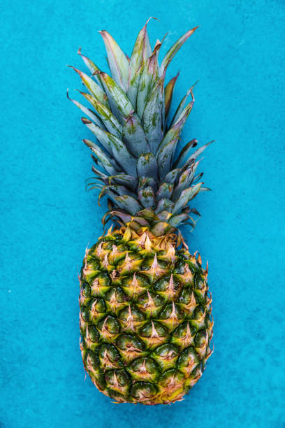 istock Ripe pineapple on blue background. Healthy eating concept. 1266408914