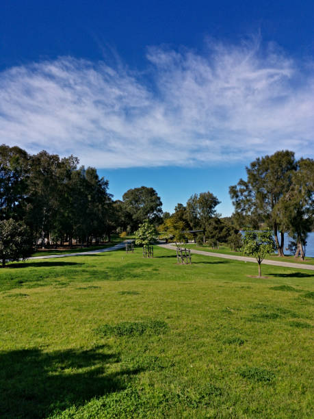 istock Beautiful view of a park with green grass, tall trees, deep blue sky and light clouds that looks like rainbow 1266409666