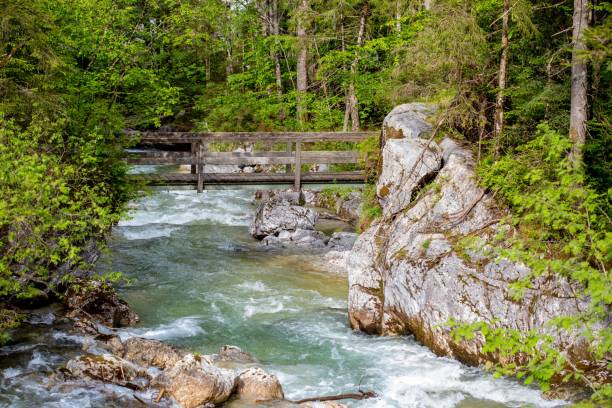 fluss im wald mit felsen eine holzbrücke - natural phenomenon waterfall rock tranquil scene stock-fotos und bilder