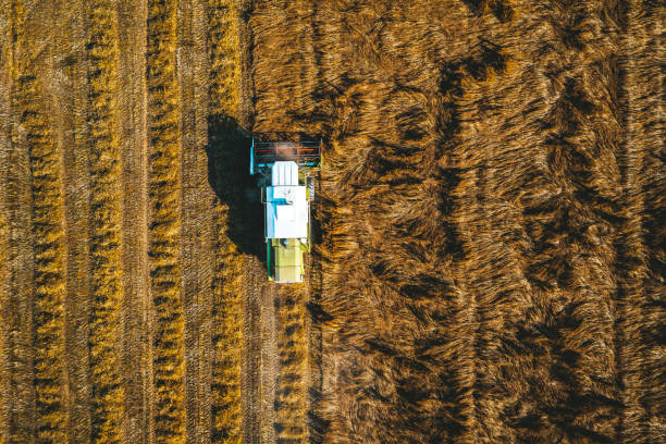 istock Harvester on a field aerial view drone 1266409858