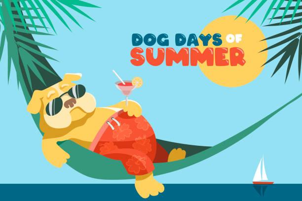ilustrações de stock, clip art, desenhos animados e ícones de dog days of summer - warm up beach