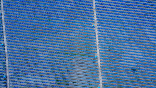 istock Background of solar panels array as seen from above the modern static solar power station. Green energy background. 1266410906