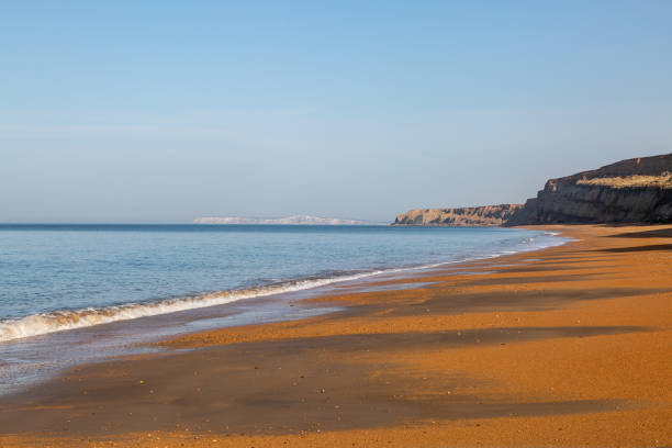 istock Whale Chine Beach on the Isle of Wight 1266411980