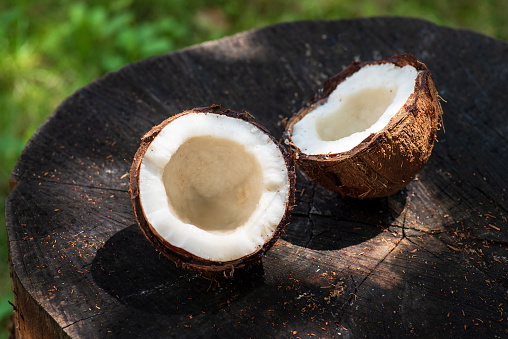 Fresh coconut fruit and palm leaves on a wooden stump outdoors with grass in the background