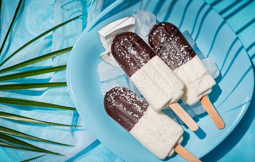 Ice cream popsicle on a stick with chocolate coconut and vanilla with palm leaves creating artistic shadows on pastel blue background