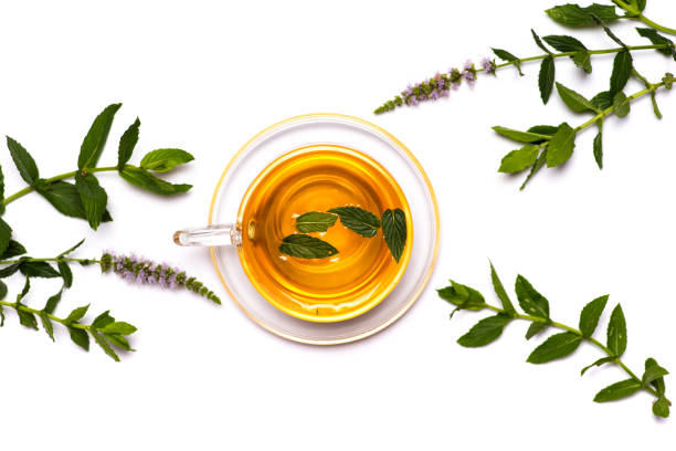té de menta con hojas frescas aisladas sobre fondo blanco yacía plana - mint tea peppermint tea green tea fotografías e imágenes de stock