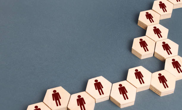 istock System structure of company people as chains of hexagons. Development and teambuilding. Organization of business, distribution of responsibilities, well coordinated teamwork. Recruiting and hiring. 1266414214