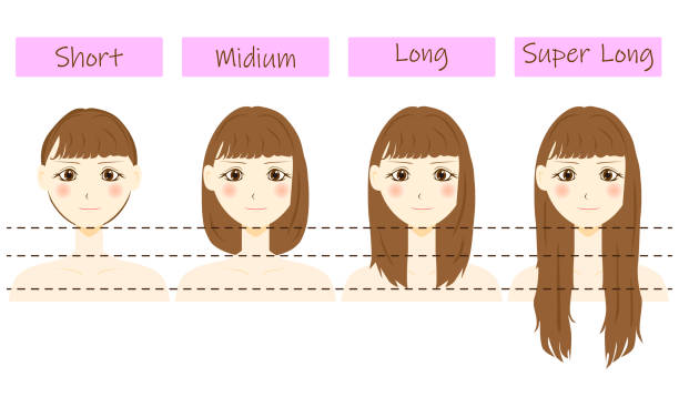 Set Of Different Hair Length Short Medium And Long Super Long Stock  Illustration - Download Image Now - iStock