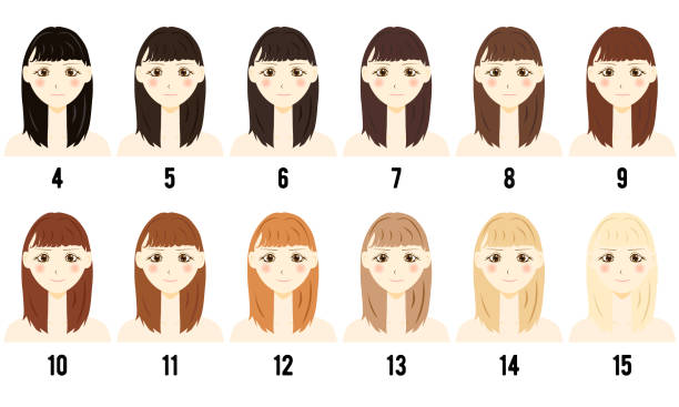 Free hair style sample for woman Clipart | FreeImages